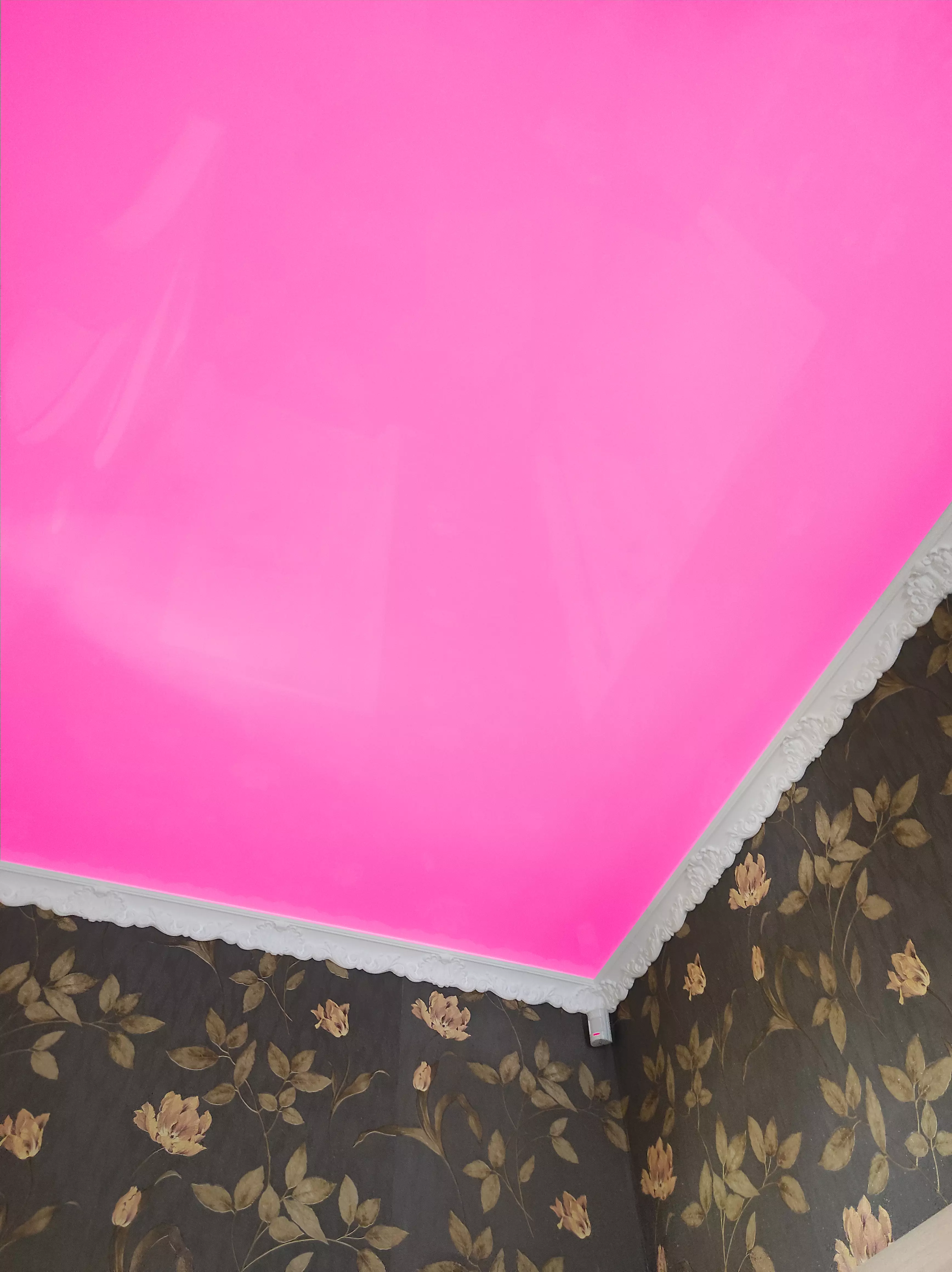 Абакан, проспект Дружбы народов, 20, фото 2