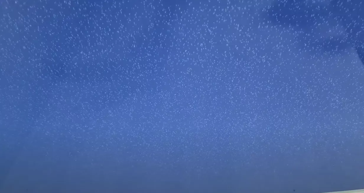 Северск, , фото 3